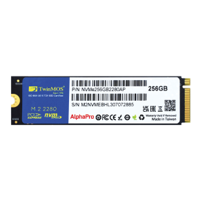 TWINMOS 256GB NVMe256GB2280AP 3600- 3250MB/s M2 NVME GEN3 Disk